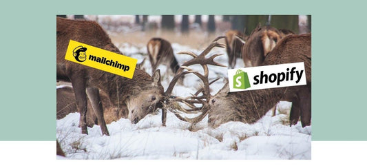 MailChimp and Shopify - what happened?! - Grow and Behold Digital - Web design and Shopify Expert