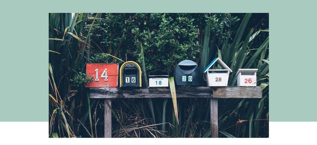 Reach your entire audience with an Email List or Newsletter - Grow and Behold Digital - Web design and Shopify Expert