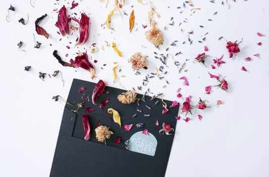 Seek new perspectives for better inclusion - Grow and Behold Digital - Web design and Shopify Expert