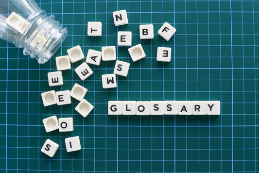 SEO Terms for Beginners - Grow and Behold Digital - Web design and Shopify Expert